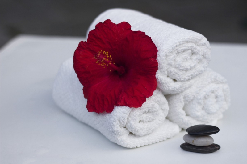 chambre-hote-SILLANS LA CASCADE-min_towel_hibiscus_clean_care_salon_spa_white_bath-869834