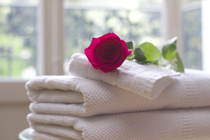 chambre-hote-SILLANS LA CASCADE-min_towel_rose_clean_care_salon_spa_white_bath-731641